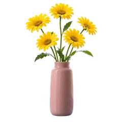 Flowers with background removed